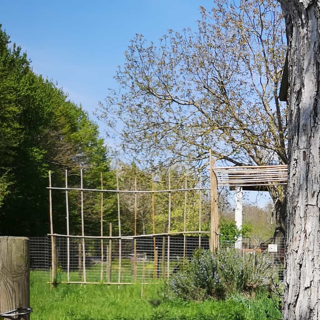 Trellis18 Aprile 2022