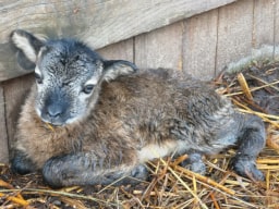 Le generazioni future ci guardano con speranza