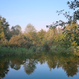 Stagno30 Settembre 2020