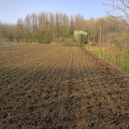 Terreno preparato per l'orto20 Marzo 2017
