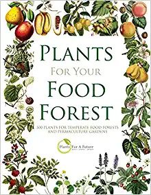 Plants for your food forest